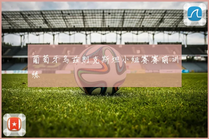 葡萄牙乌兹别克斯坦小组赛赛前训练