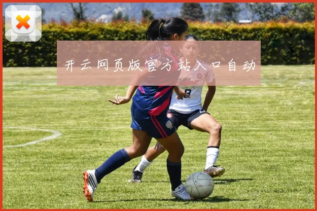开云网页版官方站入口自动