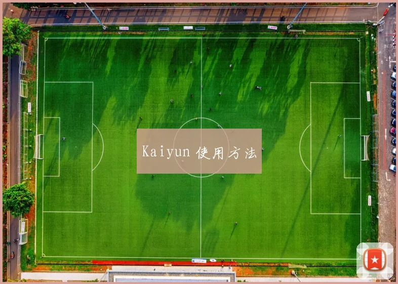 Kaiyun 使用方法