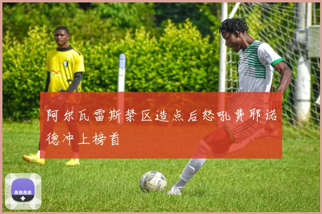 阿尔瓦雷斯禁区造点后怒吼费耶诺德冲上榜首