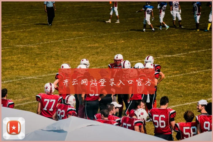 开云网站登录入口官方