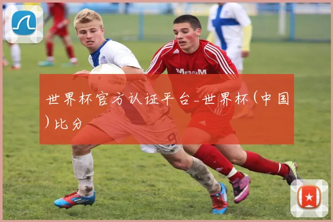 世界杯官方认证平台_世界杯(中国)比分