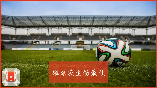 维尔茨全场最佳