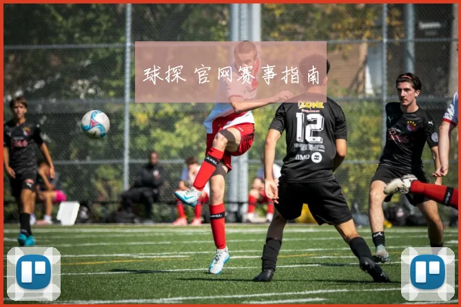 球探 官网赛事指南