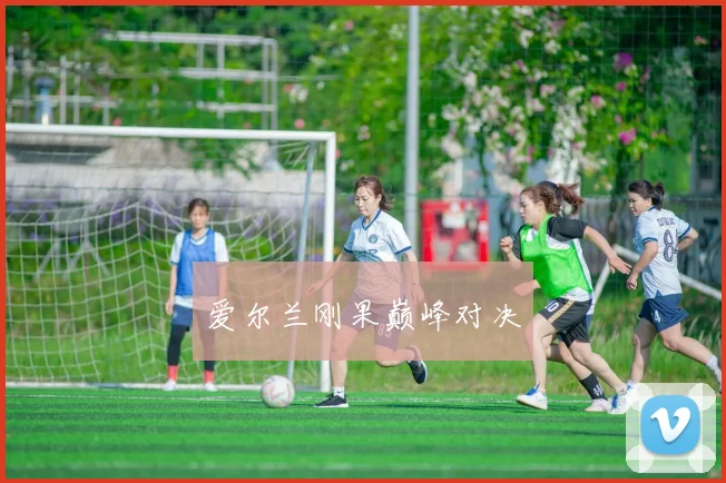 爱尔兰刚果巅峰对决