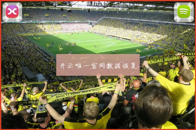 开云唯一官网数据恢复