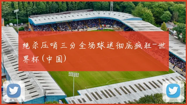 绝杀压哨三分全场球迷彻底疯狂-世界杯(中国)