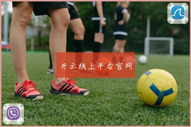 开云线上平台官网