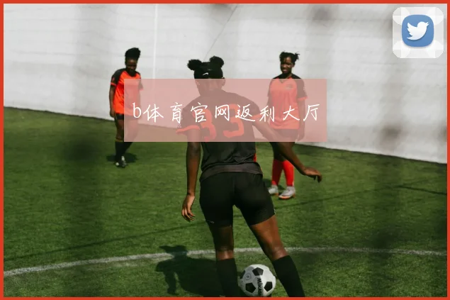 b体育官网返利大厅