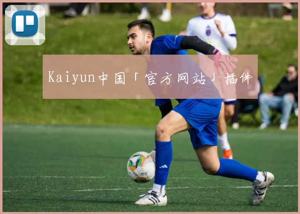 Kaiyun中国「官方网站」插件