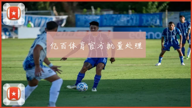 亿百体育官方批量处理