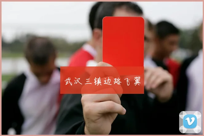 武汉三镇边路飞翼