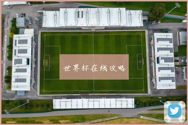 世界杯在线攻略