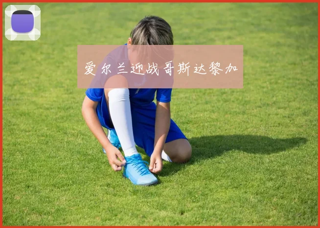 爱尔兰迎战哥斯达黎加