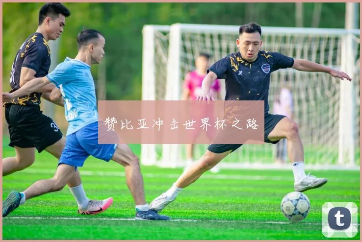 赞比亚冲击世界杯之路
