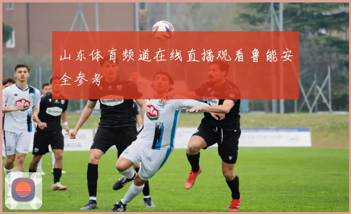 山东体育频道在线直播观看鲁能安全参考