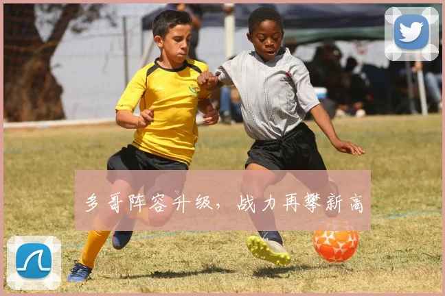 多哥阵容升级，战力再攀新高
