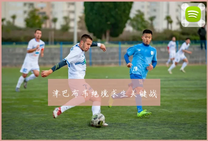 津巴布韦绝境求生关键战