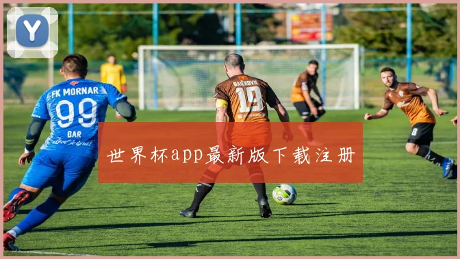 世界杯app最新版下载注册