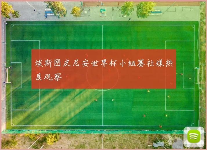 埃斯图皮尼安世界杯小组赛社媒热度观察