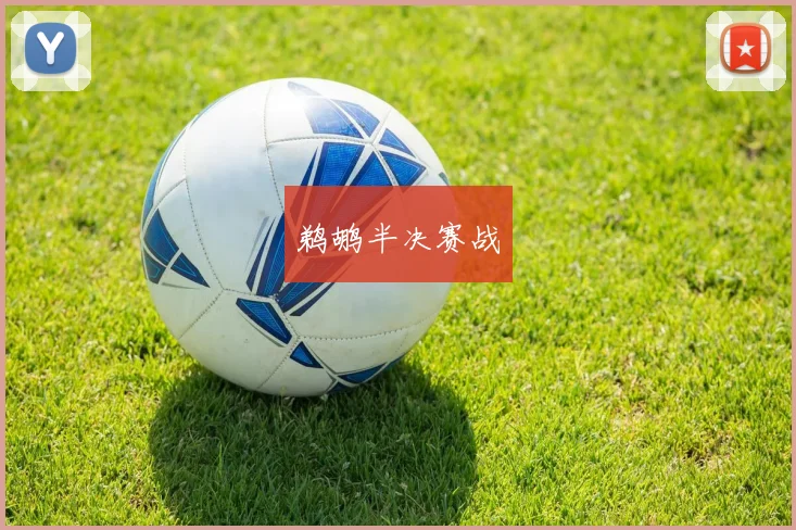 鹈鹕半决赛战
