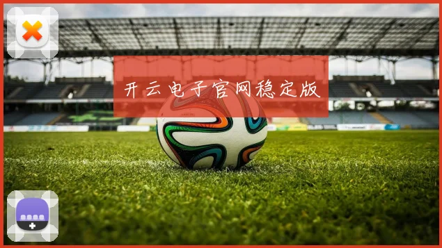 开云电子官网稳定版