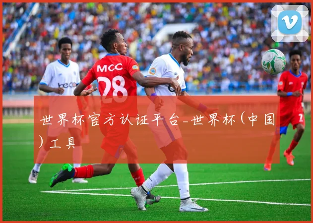 世界杯官方认证平台_世界杯(中国)工具