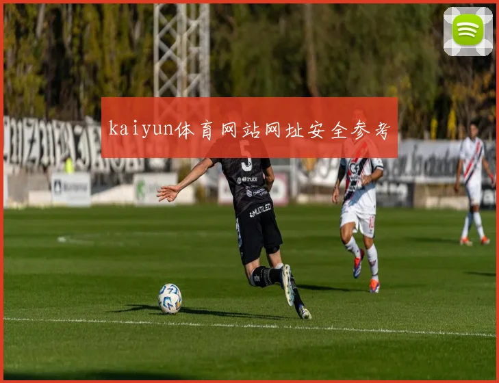 kaiyun体育网站网址安全参考
