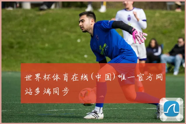 世界杯体育在线(中国)唯一官方网站多端同步