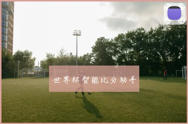 世界杯智能比分助手