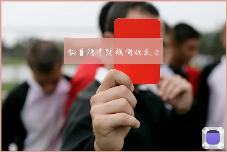秘鲁稳守防线伺机反击