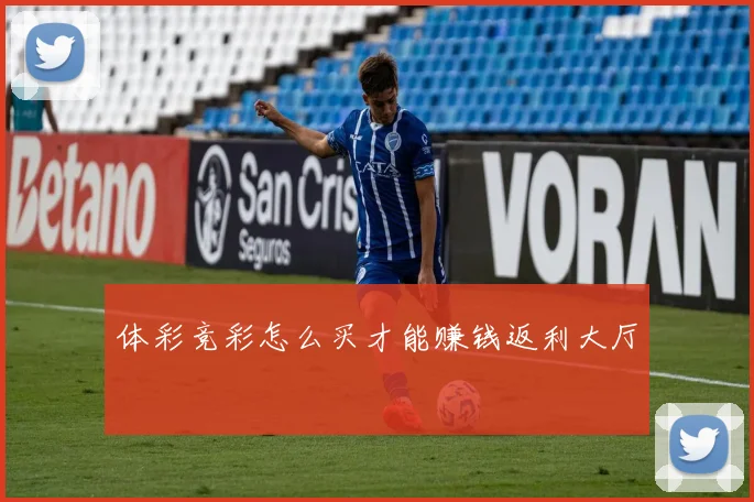 体彩竞彩怎么买才能赚钱返利大厅
