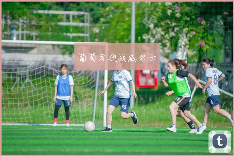 葡萄牙迎战威尔士
