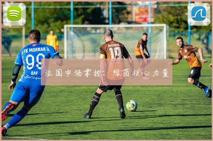 法国中场掌控：绿茵核心力量