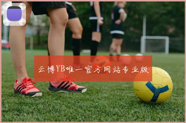 云博YB唯一官方网站专业版
