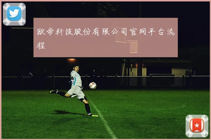 欧帝科技股份有限公司官网平台流程