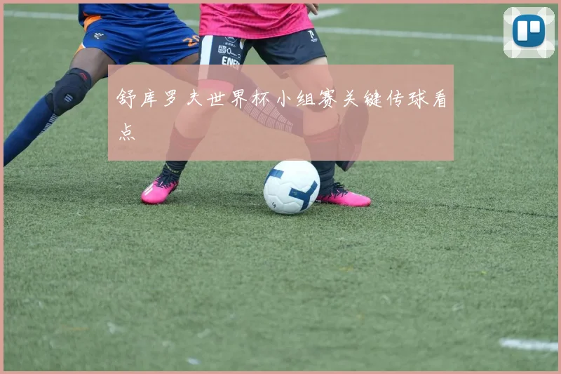 舒库罗夫世界杯小组赛关键传球看点