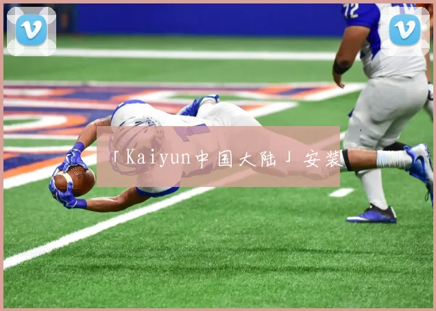 「Kaiyun中国大陆」安装