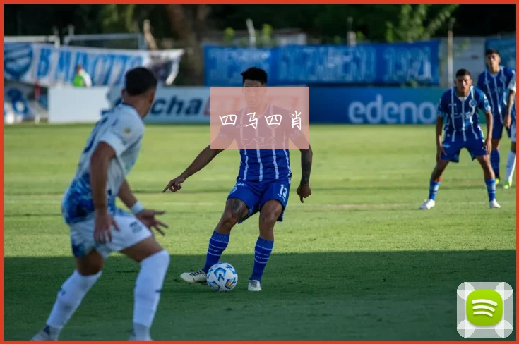 四马四肖