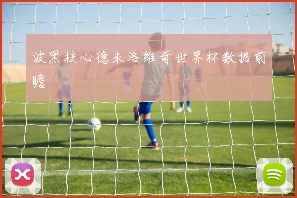 波黑核心德米洛维奇世界杯数据前瞻