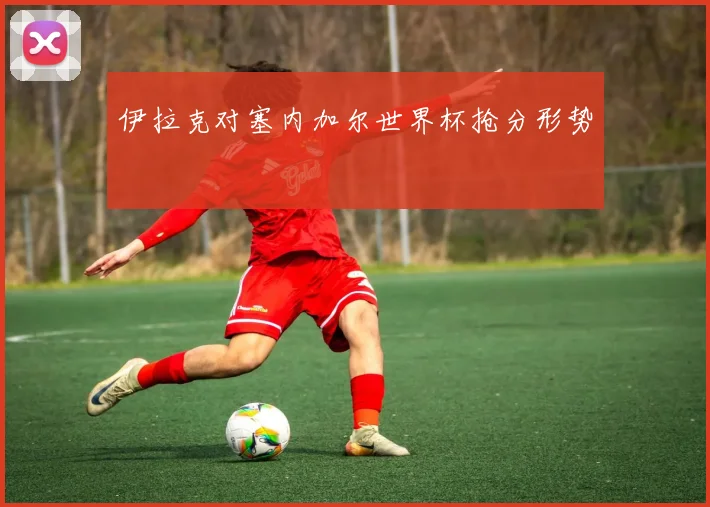 伊拉克对塞内加尔世界杯抢分形势