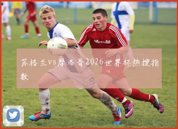 苏格兰vs摩洛哥2026世界杯热搜指数