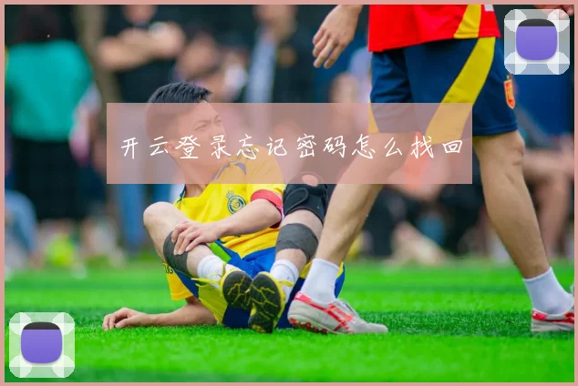 开云登录忘记密码怎么找回
